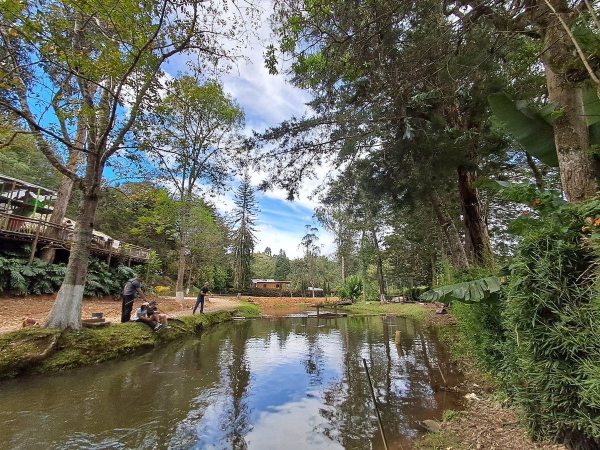 kjaramilloc's tweet photo. Guarne, Antioquia https://t.co/0WUBGwROMf