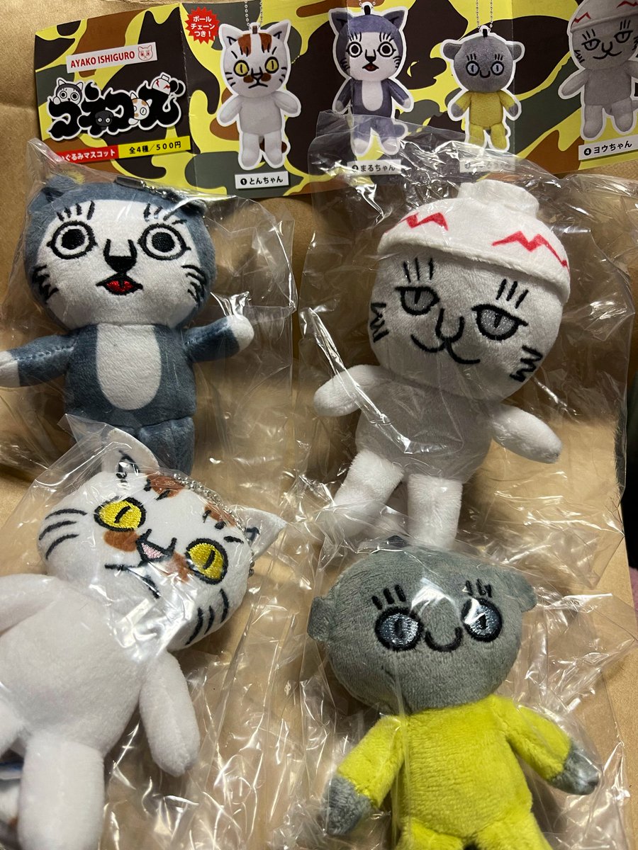 石黒亜矢子 (@ishiguroayako) / Posts / X