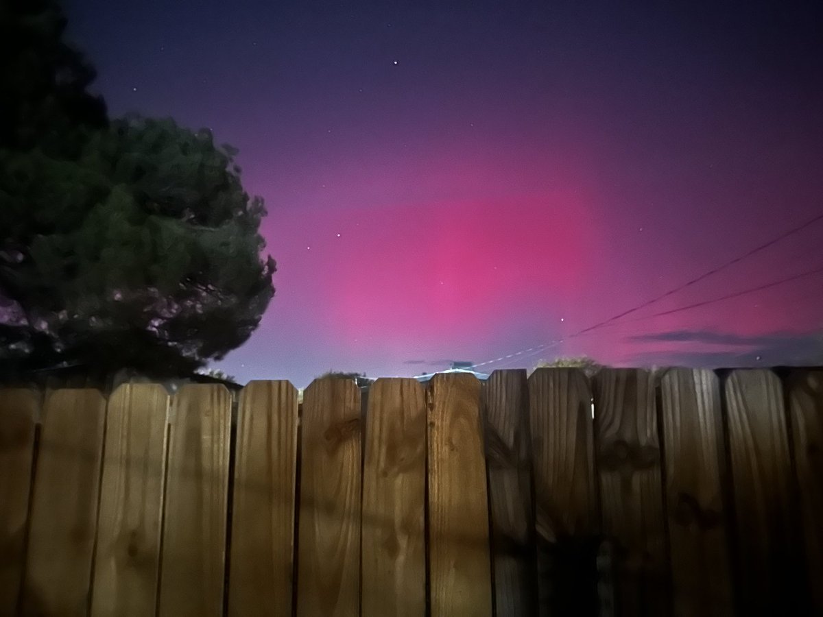 November 11, 2025 I was irradiated with ethereal brilliance. The Aurora lights came to me in my backyard and a moment of truth and illumination was revealed. 

No filter, no iPhone magic, long exposure only.