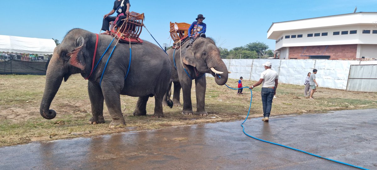 えり (@icn7626) / Posts / X