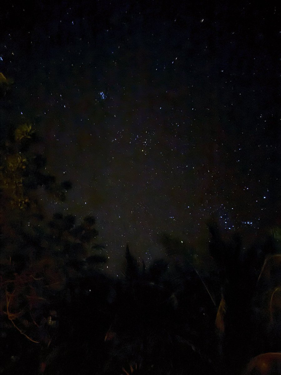 RAPNOIRstore.com tweet media