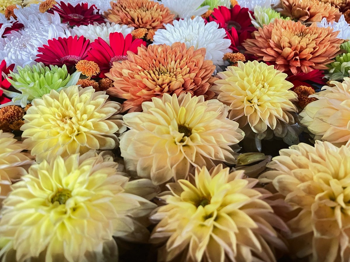 s2sakura08's tweet image. 