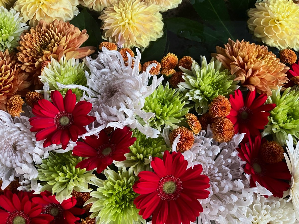 s2sakura08's tweet image. 