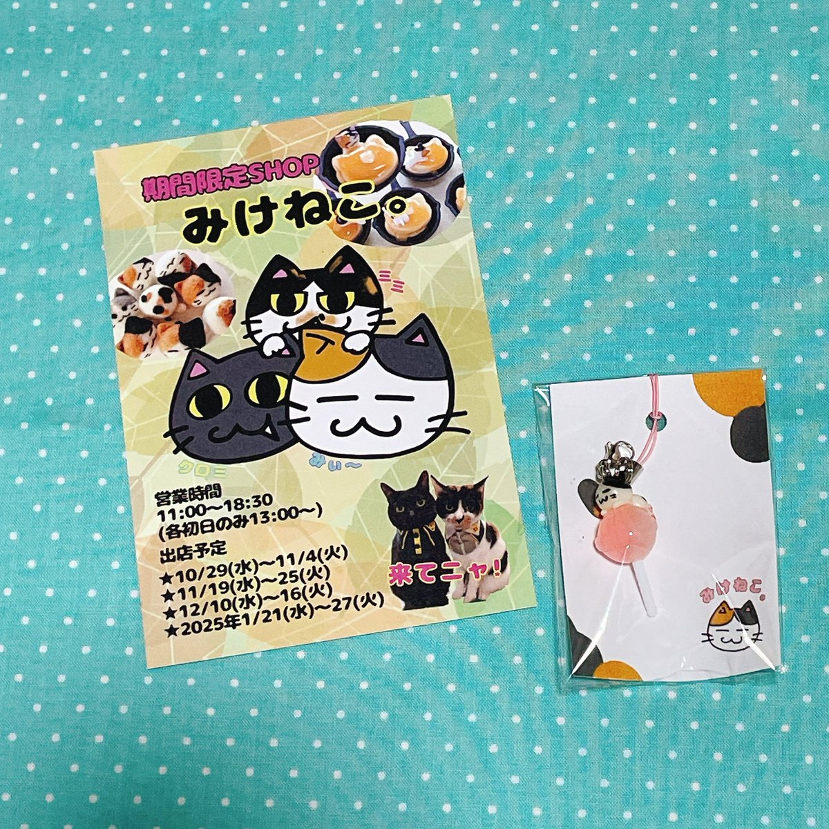 🍎デザフェスお迎え品🍏 みけねこ。(@mike_myi )さんのストラップ