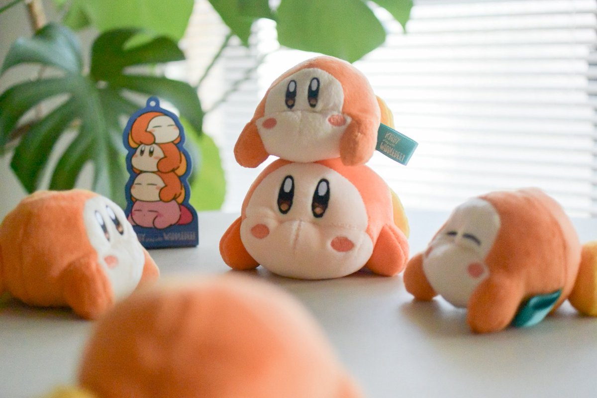 ✨ふわり✨即購入OK♡ ゼクストリーム 2025 WINTER: ：【公式】ブロッコリーグッズの通販