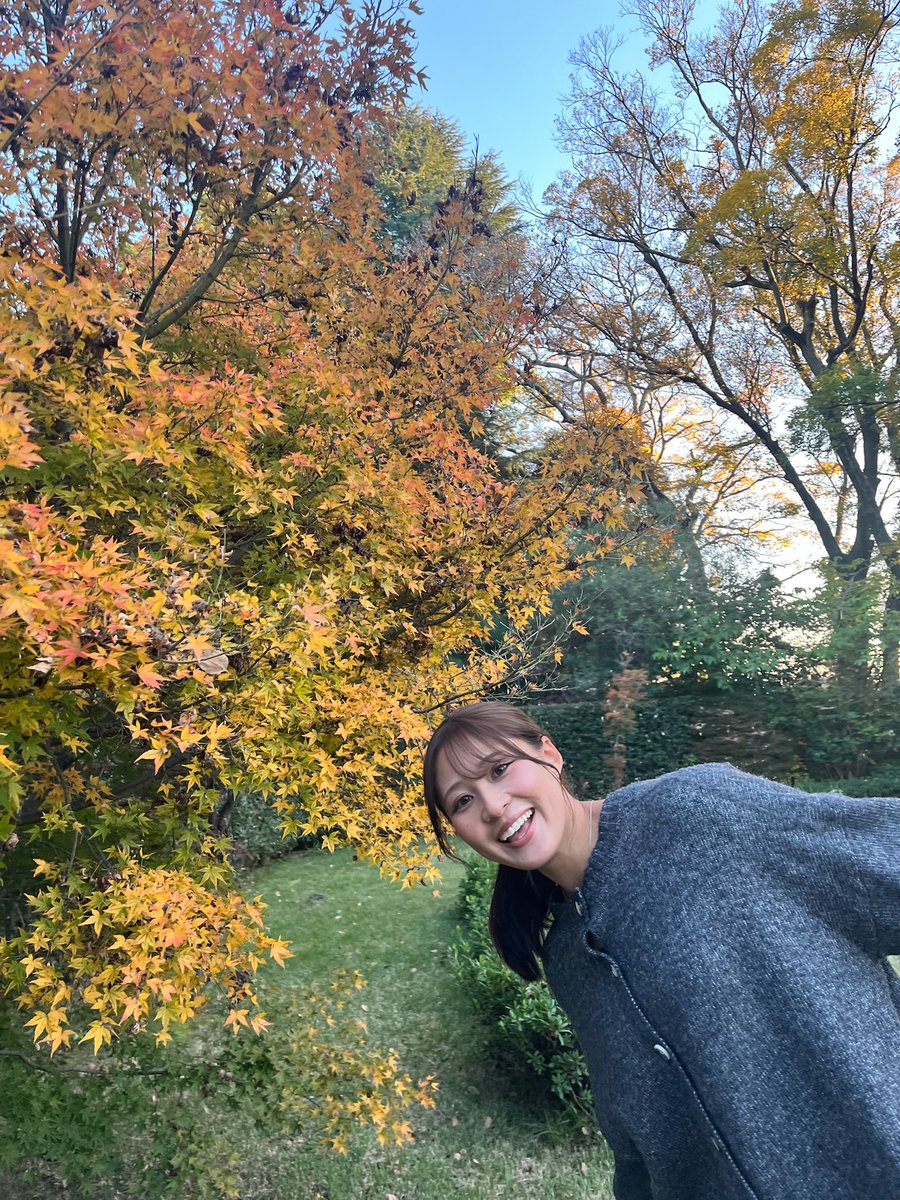 jchandayo__03's tweet image. カメラ大好きマン‼️