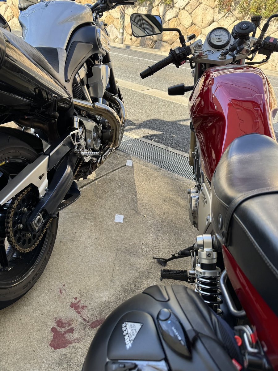 バラ売り⭕️ アン・フォークナー 93点まとめ売り ⋱⠀💎FC会員限定💎⠀⋰ 𝐇𝐚𝐩𝐩𝐲 𝐁𝐢𝐫𝐭𝐡𝐝𝐚𝐲 #アン