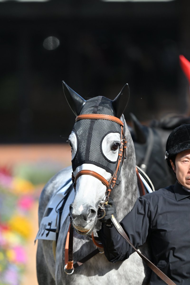 早い者勝ち❗️AbuGarcIa.ZoDIAS ﾌﾝｷﾞｬﾛ (@fungyaro0323) / Posts / X