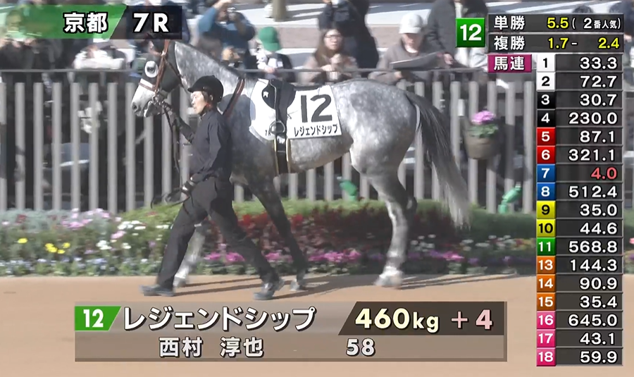 レジェンドシップ　頑張れ～