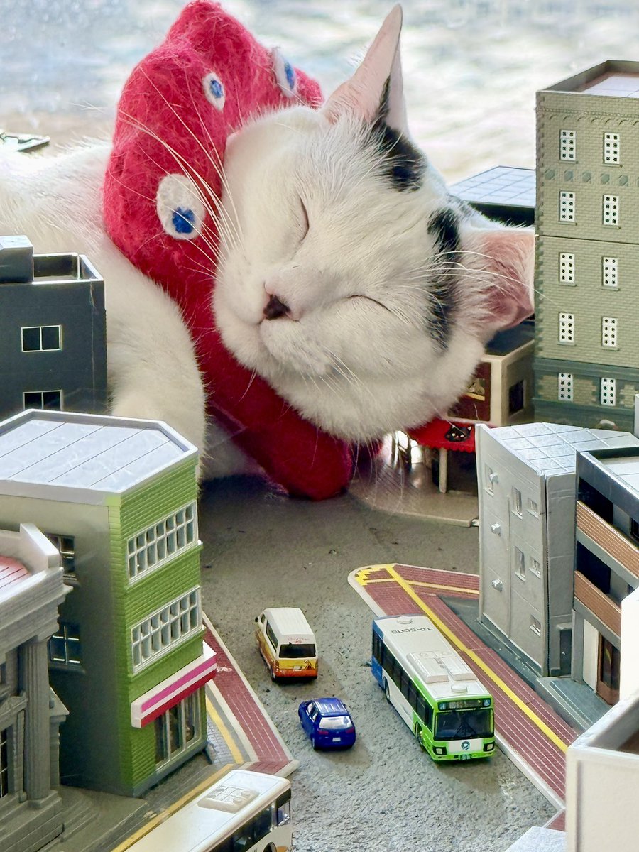 三連休
２日目の過ごし方