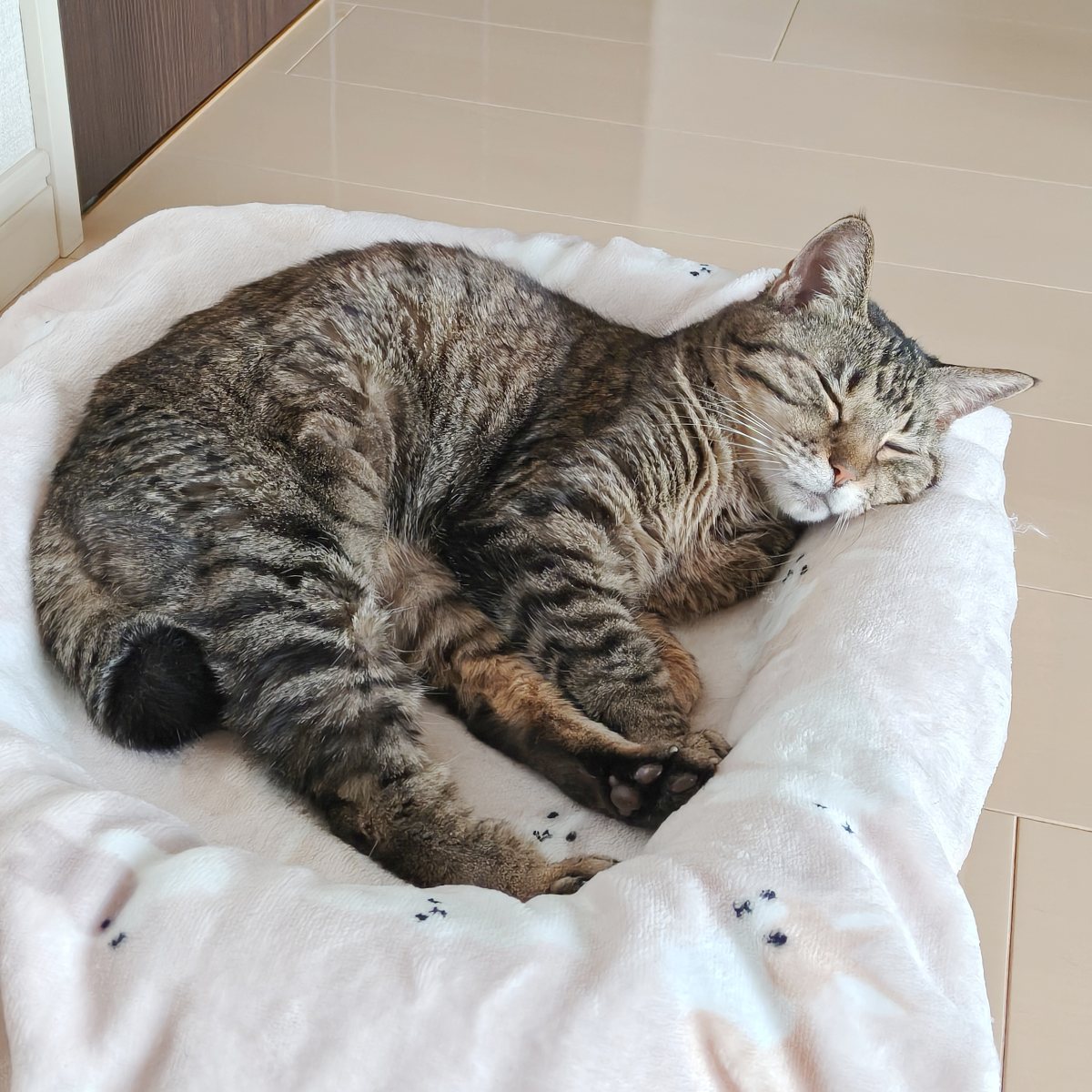 ﾟдﾟ) ﾊｯ! Takeyama (@r722) / Posts / X