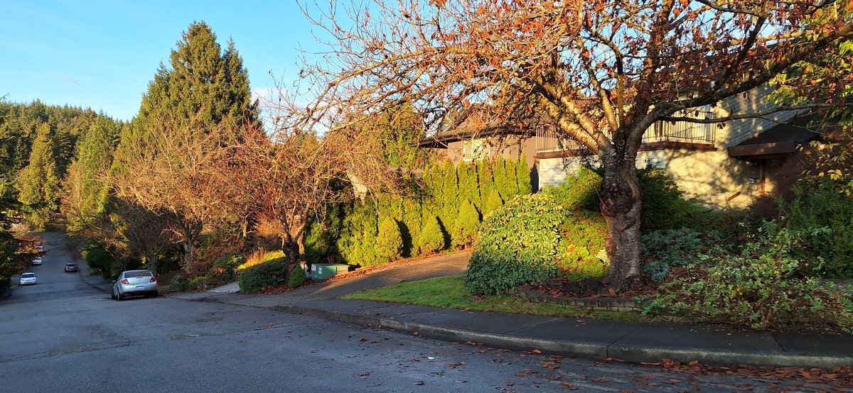 metrotowner's tweet image. 128/🚶Rathburn Dr neighbourhood, North #Burnaby — between Stoney Creek, North Rd &amp;amp; Broadway. TOA zoning had speculators target this single-family/multiplex area with 12-storey towers along North Rd and 8-storeys right beside Stoney Creek’s fragile salmon habitat.