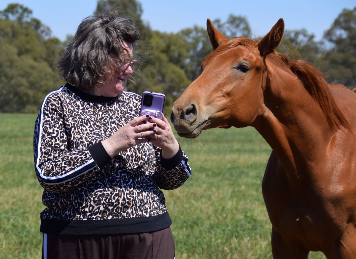 Be aware as you visit the huge number of events across <a href="/NationalTBWeek/">National Thoroughbred Week</a> this year that yearling fillies have very exacting standards for selfie approval...
.
.
.
<a href="/ThreeBridges1/">Three Bridges</a>