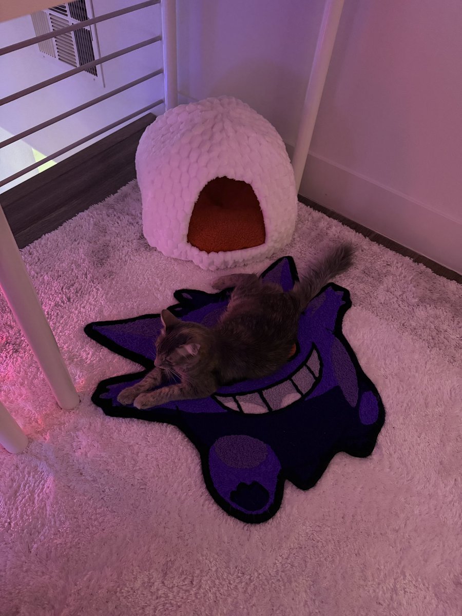 ˗ˏˋ 𝙳𝚎𝚟 ✩ ˎˊ˗ tweet media