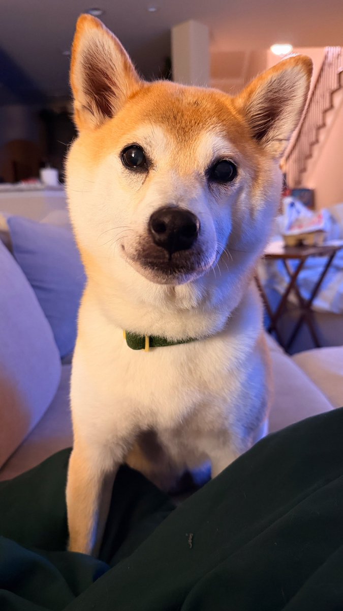 “Mom tell them I said hi too” - Charlie