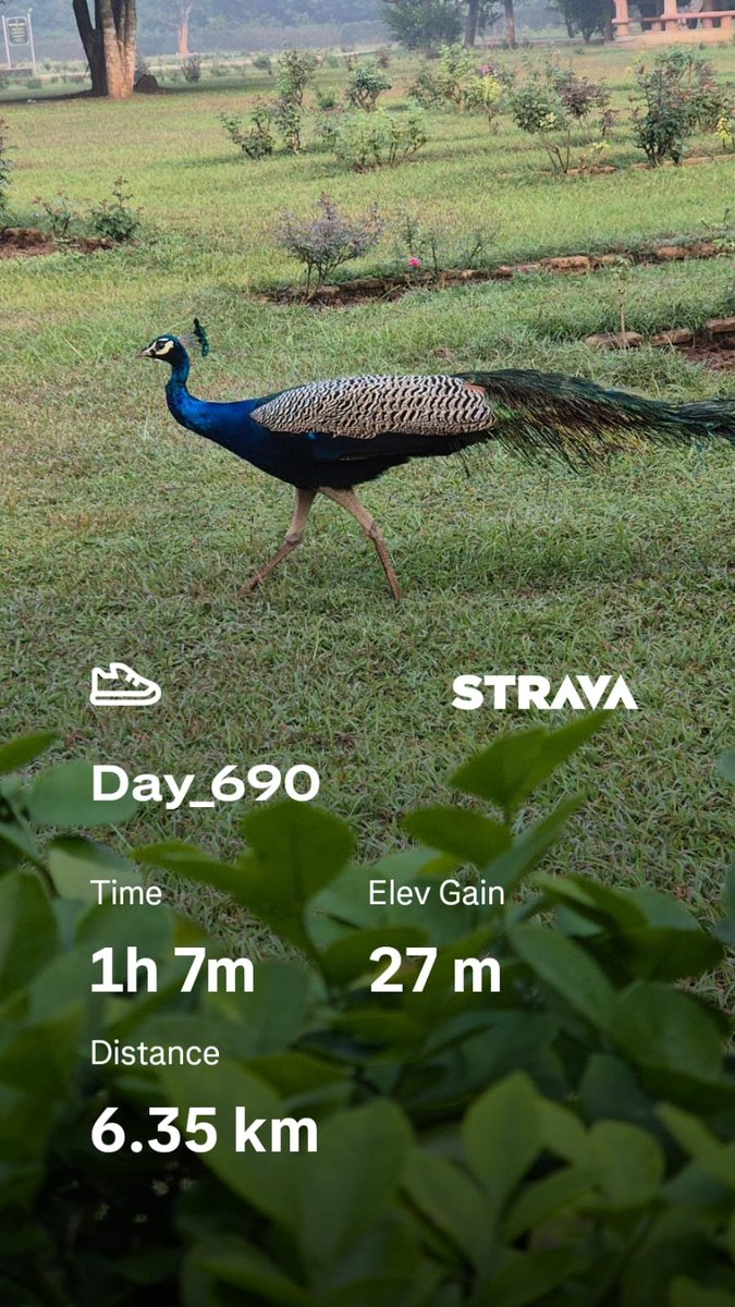 Good Morning 🦚
#RojanaEkGhanta