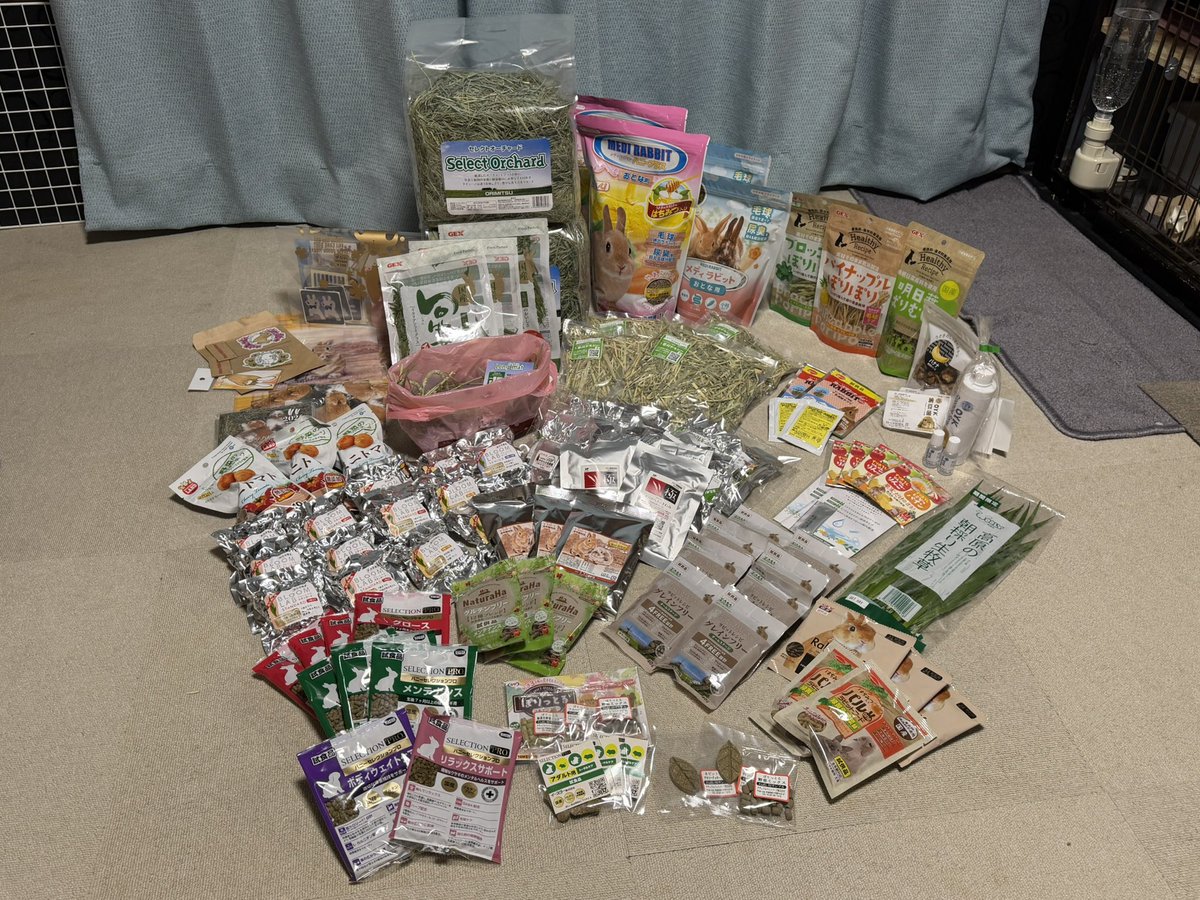 うさフェス🐰💕
今回はむく君のハーネスオーダー
できたので完成が楽しみ🍀
次回も参加したい🌸
購入品、サンプル家族4人でたくさん🐰💕