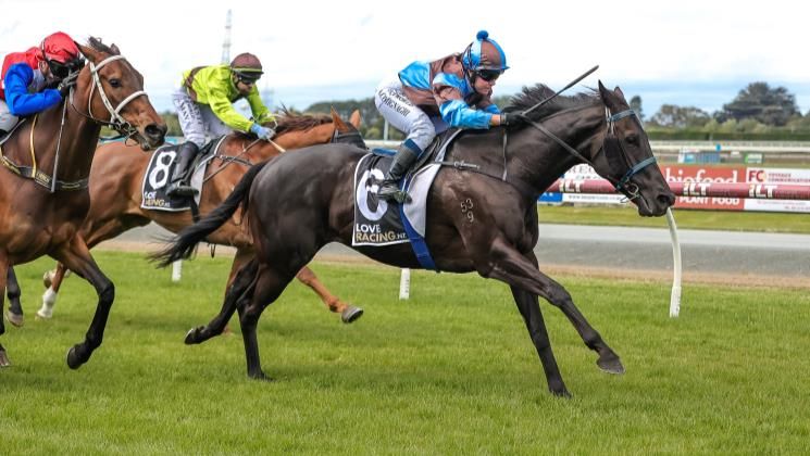 LOVERACINGNZ's tweet photo. When Jo-Anne Dalton put a saddle on Sestina for Sunday’s Gladvale Farms Winton Cup (1400m) at Ascot Park, she expected it to be little more than a pipe-opener ahead of the Cromwell Cup (2030m) next weekend – but the Lonhro mare had other ideas.

https://t.co/5kFbRFGw29 https://t.co/isdMigD2Aw