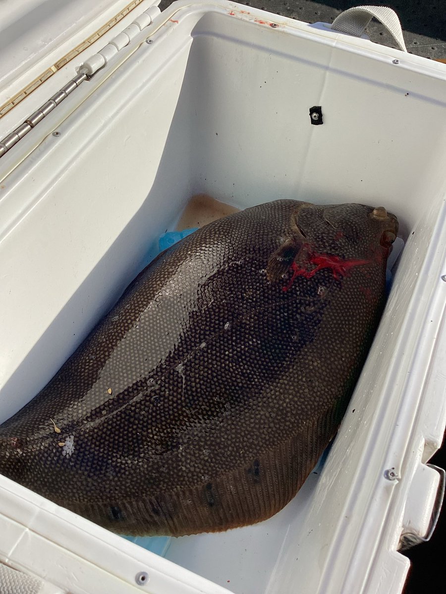 気仙沼河童堂 tweet media