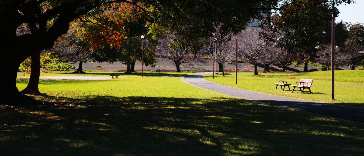 ataktwit's tweet image. 黒い部分の多い写真好きなのでついつい半分ぐらい真っ黒にしちゃう。 #sigmabf