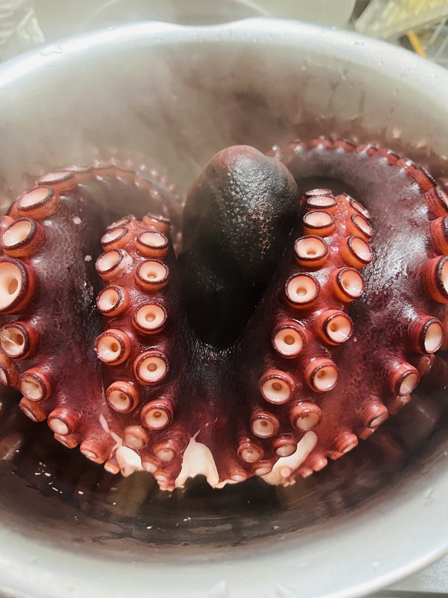 iyukka's tweet image. お父さんからもらったタコ茹でた🐙
どちらの画像が映えますか？？
おなかとあたま！
#たこ