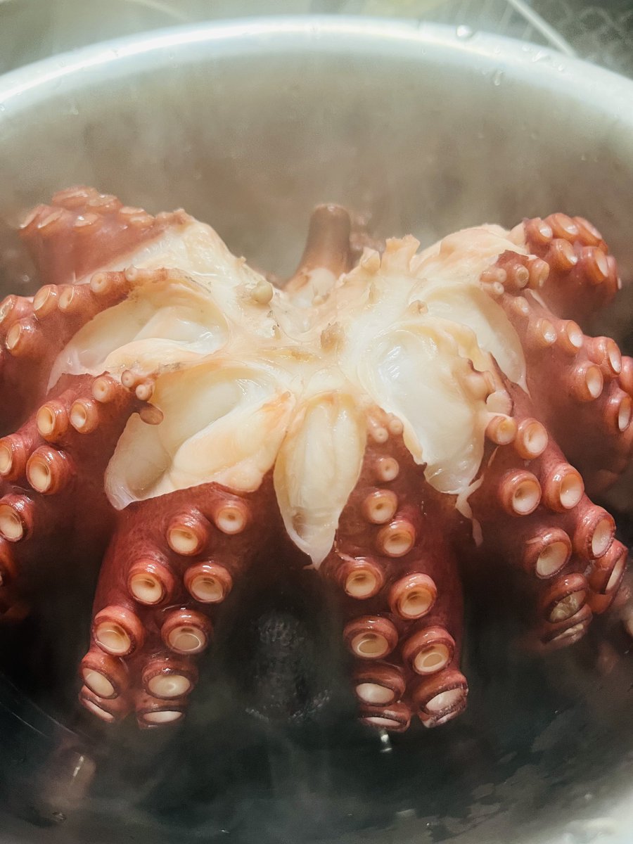 iyukka's tweet image. お父さんからもらったタコ茹でた🐙
どちらの画像が映えますか？？
おなかとあたま！
#たこ
