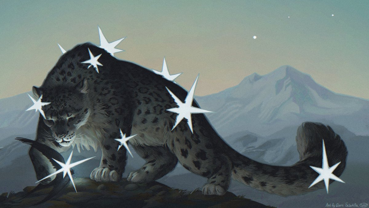 clarascintilla's tweet image. Shared disease