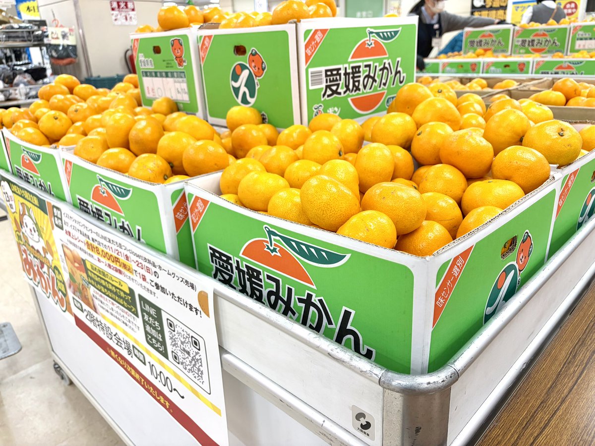 地域の皆様に愛媛みかんを食べて欲しくて気持ちが前のめりになりました