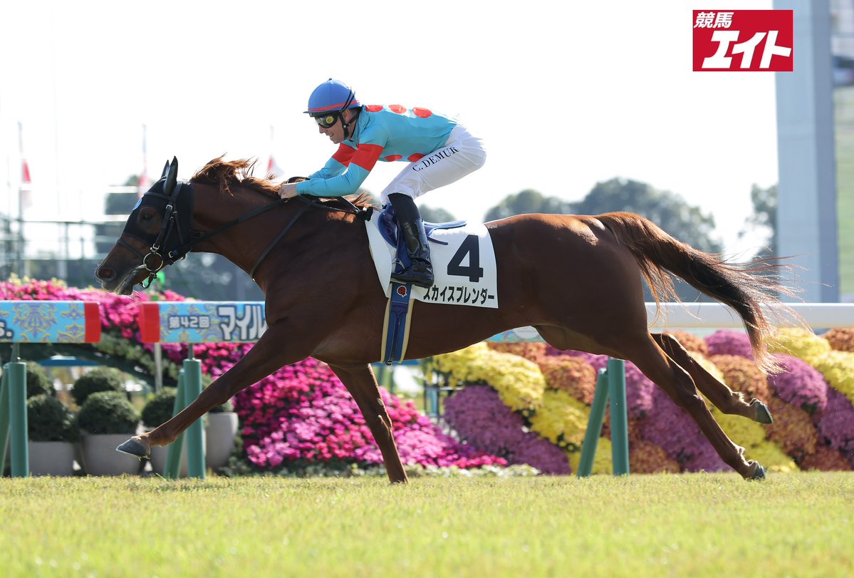 競馬新聞 約17kg 大量セット サンケイ新聞 エイト 1馬 サンケイ