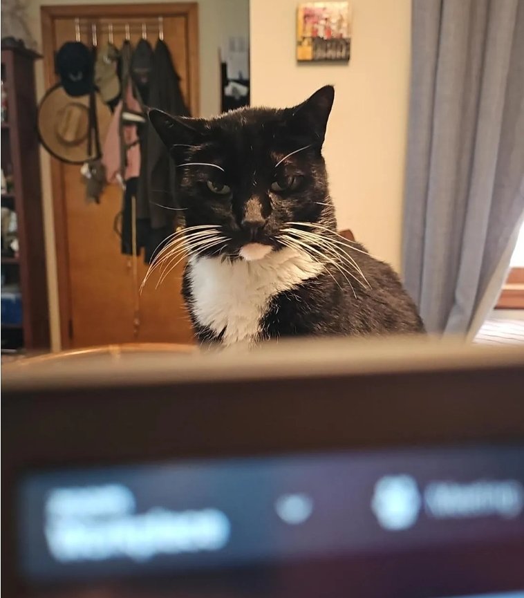 Timothy&Sebastian tweet media