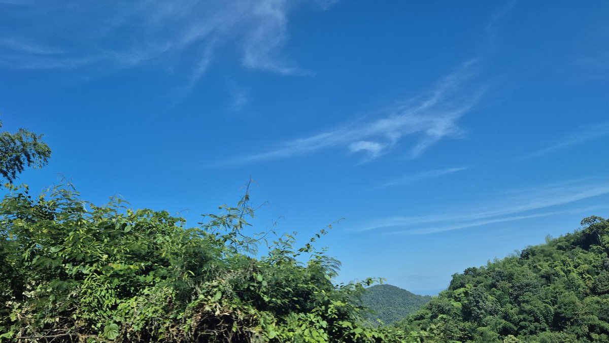ZonaPLG's tweet photo. 😌🌿☁️✨️
#ซนซนผจญภัย https://t.co/Cke1HWX8ot