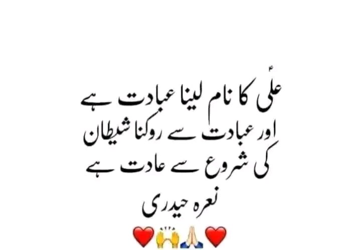 ALIZA🇵🇰 (@aliza_n313) on Twitter photo 