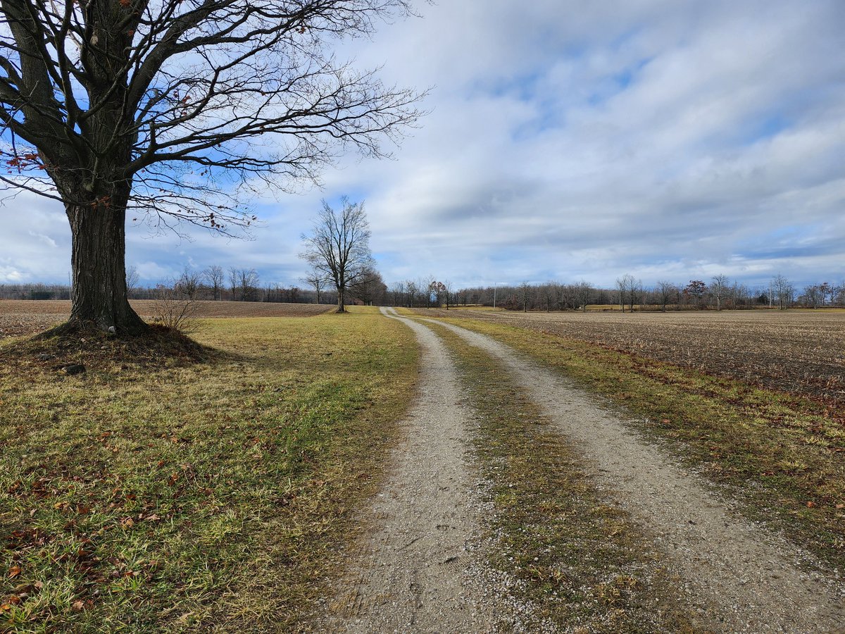 Something about the aftermath of autumn rain screams so serene
#hello #imback #WritingCommunity