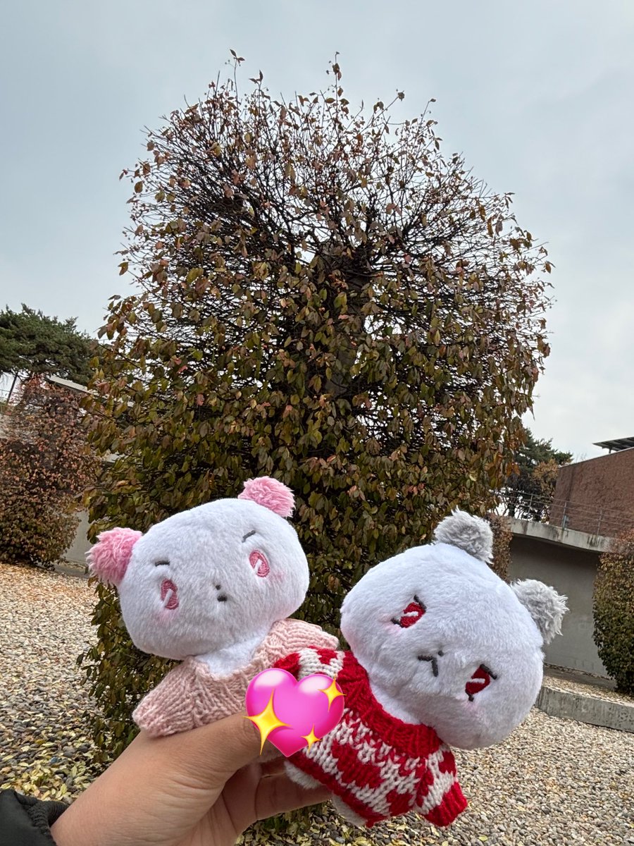 peuldoongnuna's tweet image. i’ve been traveling alone today, but i don’t feel lonely at all bcs i see plli everywhere. when i went to seonyudo park, i was helped by kind pllis pointing me to the direction i need to take. thanks to the varsity and mmmm, it’s so easy to find fellow pllis hehe
