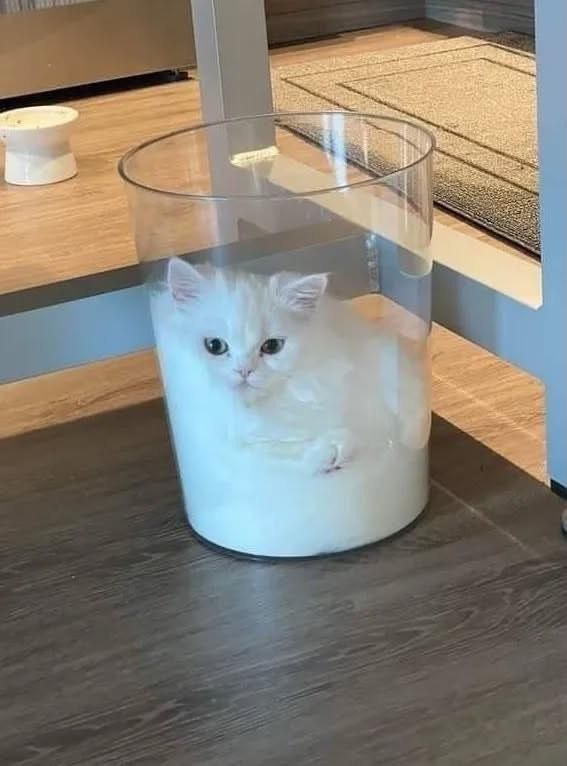 weirdnlovely's tweet photo. 우유 한 바��니 https://t.co/sQU419hpfo