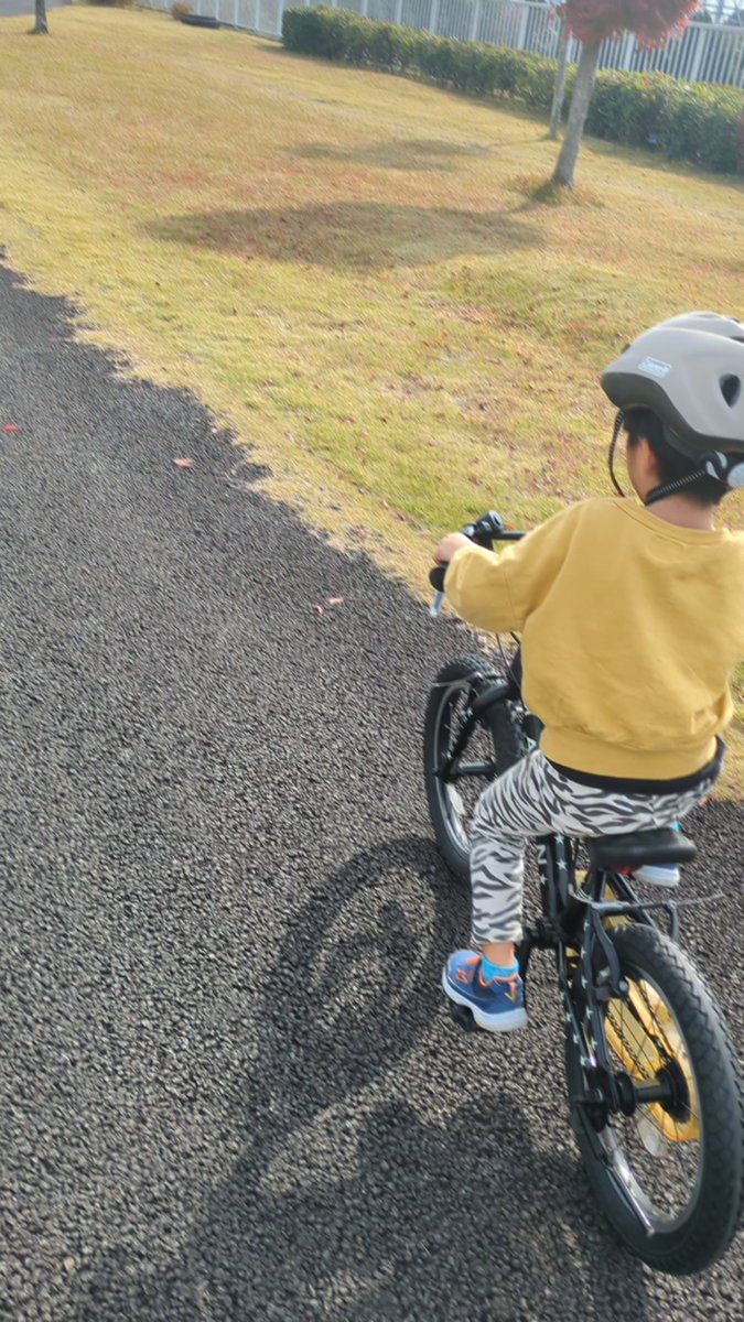 akskhgdn's tweet photo. すぐ諦めちゃうしすぐ嫌になるしすぐキレる男５歳、ついに自転車に乗れるようになった！！はっぴー！！！！ https://t.co/8s8g9Ut3Vi