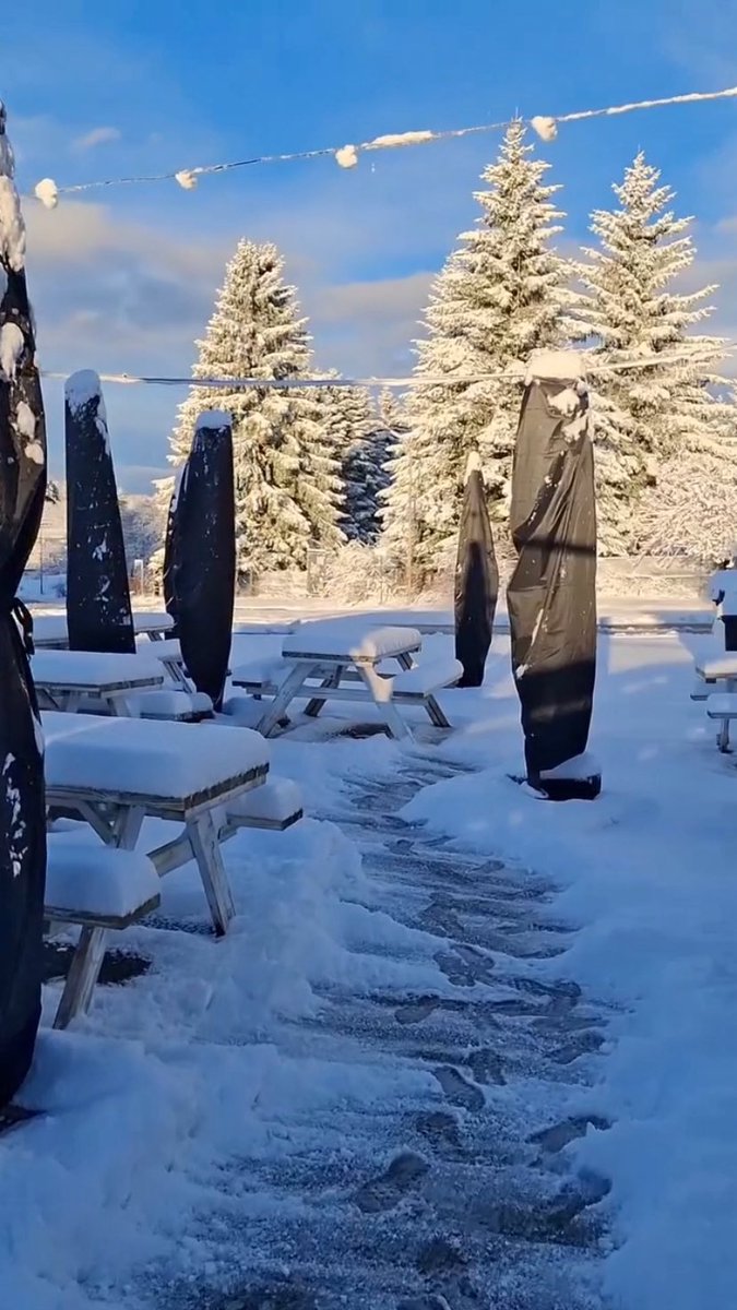 Mi fermo qui e ritorno Lunedì, buongiorno disagiati 😅🤚