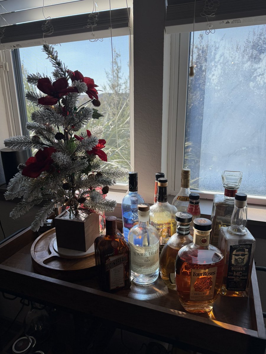 I put my Christmas decorations up 😎