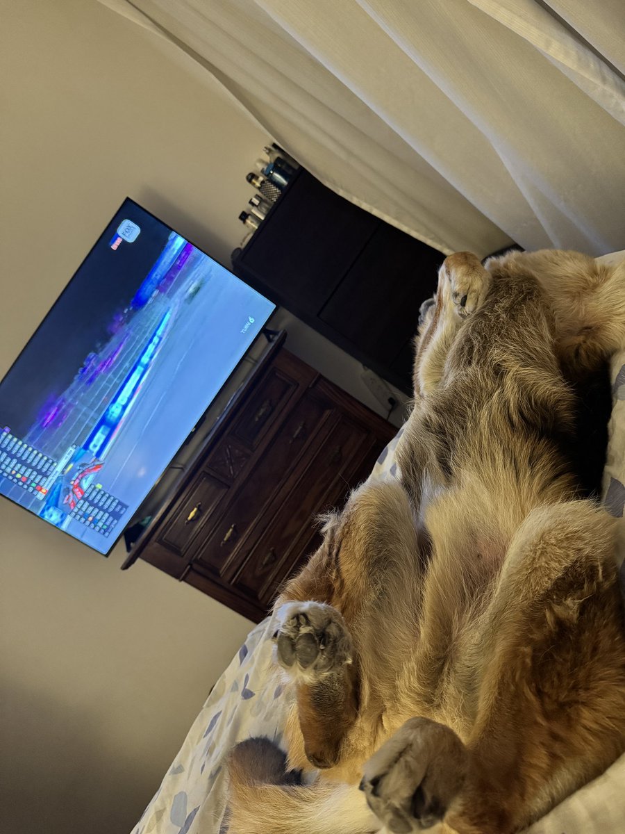 ✨La JaMoNuDa ReLoaDeD✨ tweet media