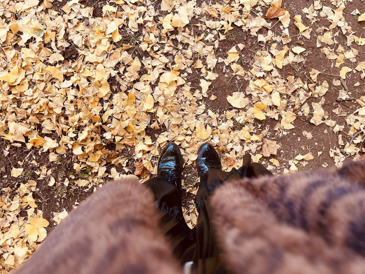 s2sakura08's tweet image. 🍂秋のベールに包まれる🍂