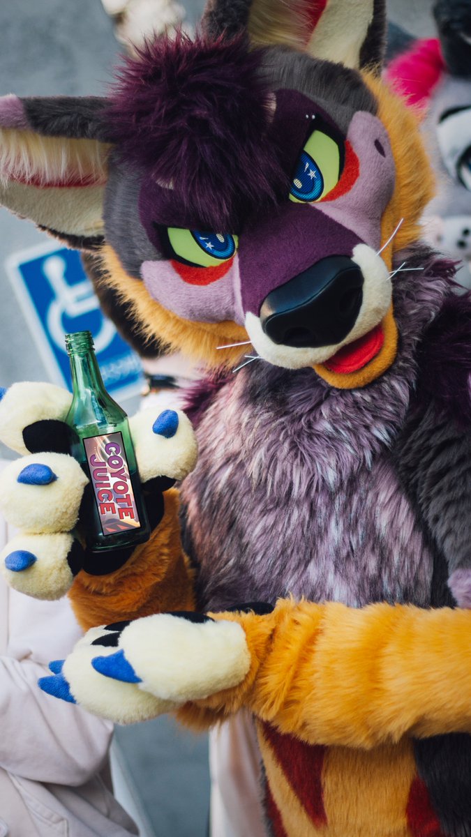 StellarAntares's tweet image. Want to achieve this build and hit your goals faster than should be possible? You&apos;ll want some COYOTE JUICE. This supplement is an absolute game-changer for pushing past plateaus and finding endless energy.

Use code &quot;juicing&quot; for 15% off! 
Link below!! ⬇️⬇️