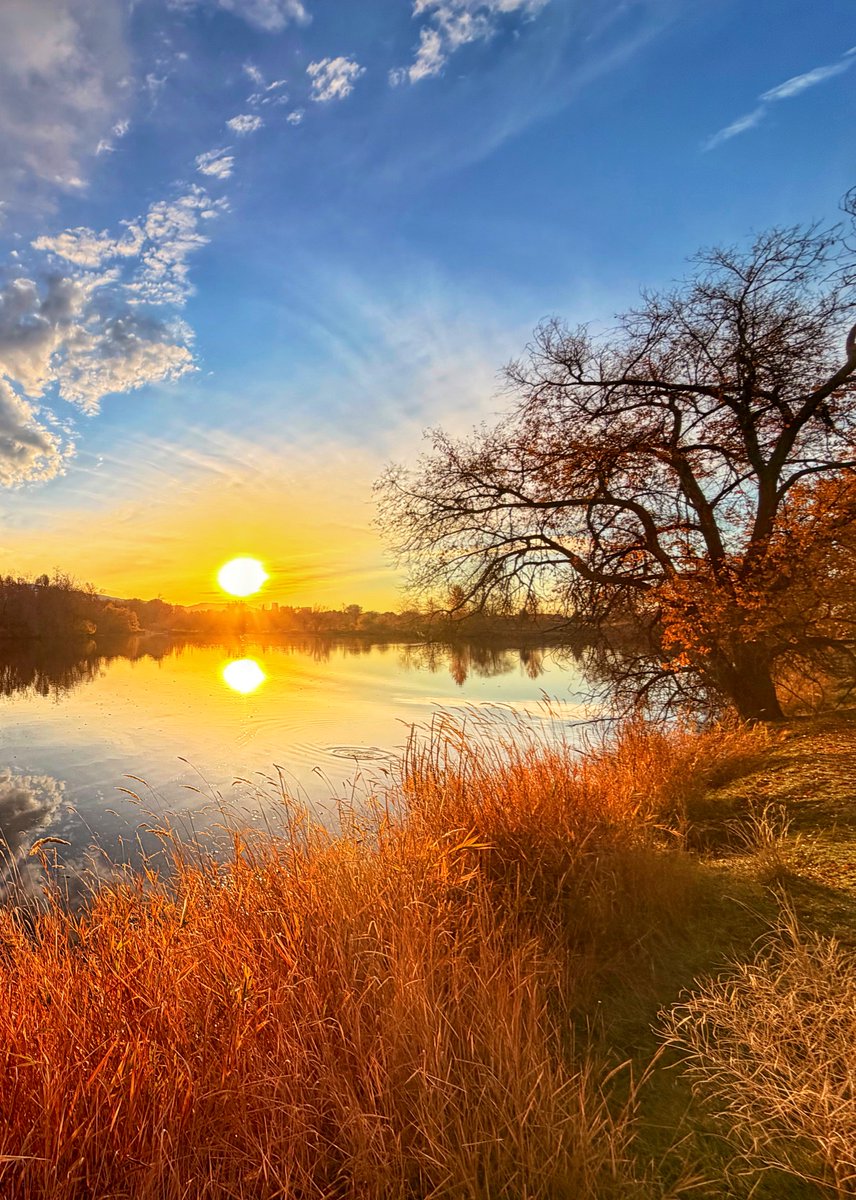 8ntmuch's tweet image. The value of a single tree…
QP or share yours.