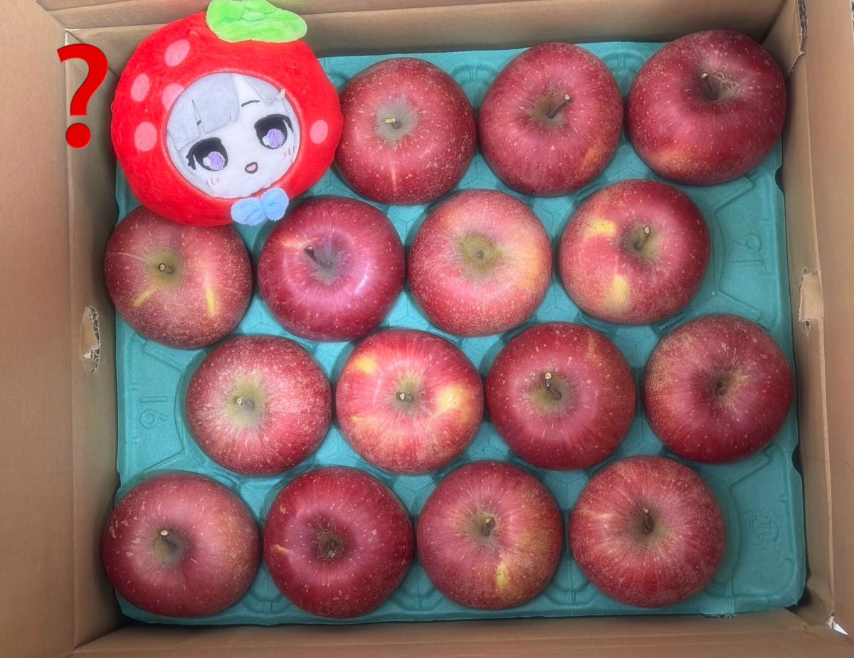 mame⭐︎専用 まめ (@mame519) / Posts / X