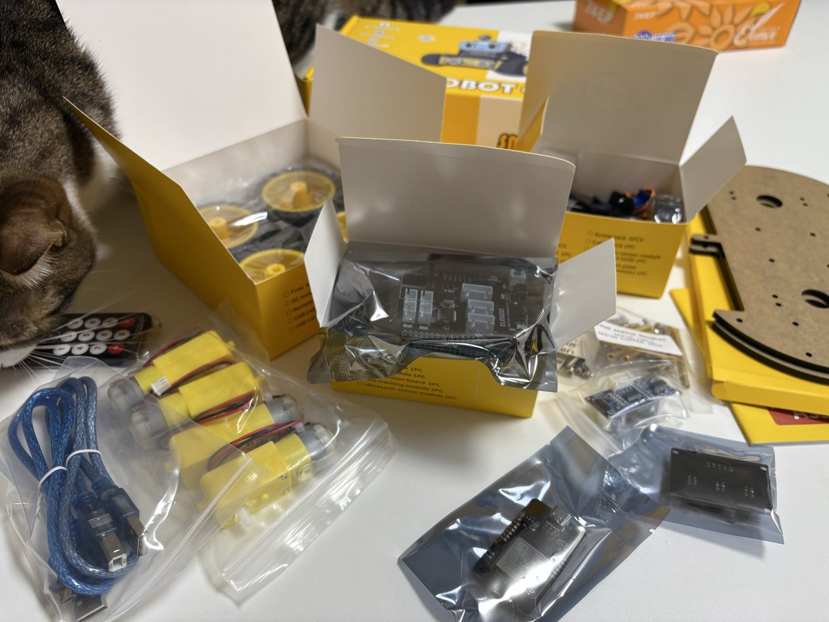 ついにハードウェアエンジニアデビューします！🔥

わくわくわくわく