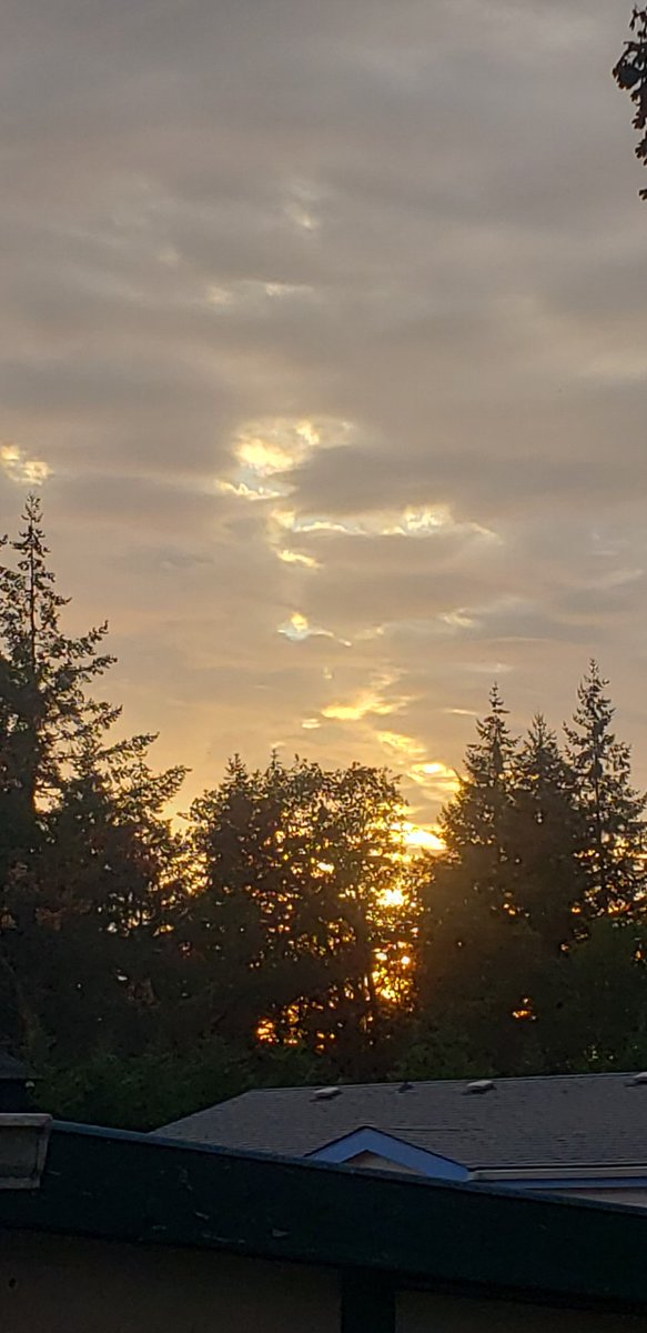 MWSchutter's tweet image. It's a beautiful day Yaweh has made!