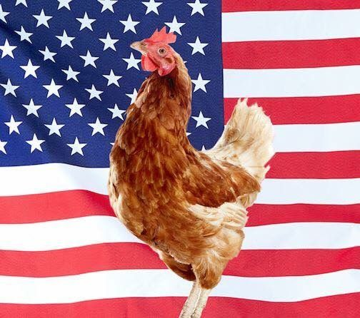 YourAnonCentral's tweet image. In the war between Ukraine and Russia, the first to surrender was the United States.