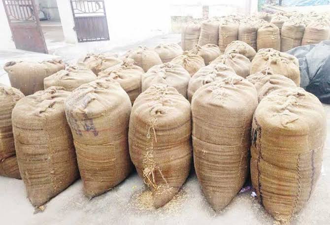 MalarMathar's tweet image. நெல் அறுக்கும்போது களத்தில் தூசி பொடைக்கிறதுன்னு ஒன்னு இருக்கு. சொலவில் தூசியும் நெல்லும் கலந்ததை எடுத்து காத்து வரும் திசையில் தலைக்கு மேல் வைத்து தூத்தணும். 12 மரக்கா வயப்பாடுன்னா  12 கோட்டை நெல் விளையணும்னு கணக்கு. பெரிய சணல் மூட்டைக்கு 2 மூட்டை 1 கோட்டை. எவ்வளவு நெல்…