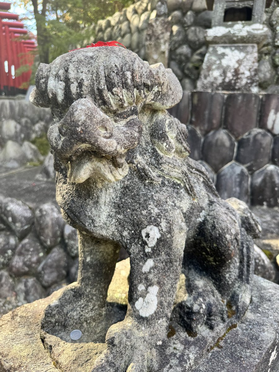 本日の狛犬コレクション🐶🍁