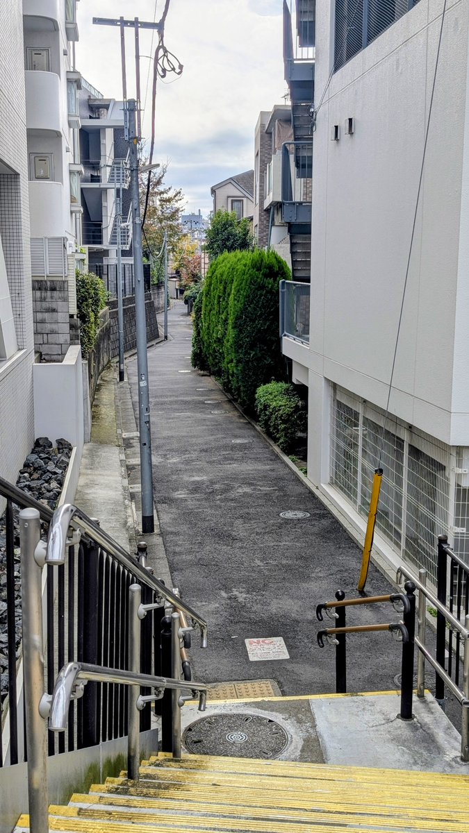 ねこさん⚡(ΦωΦ) (@catnap707) / Posts / X