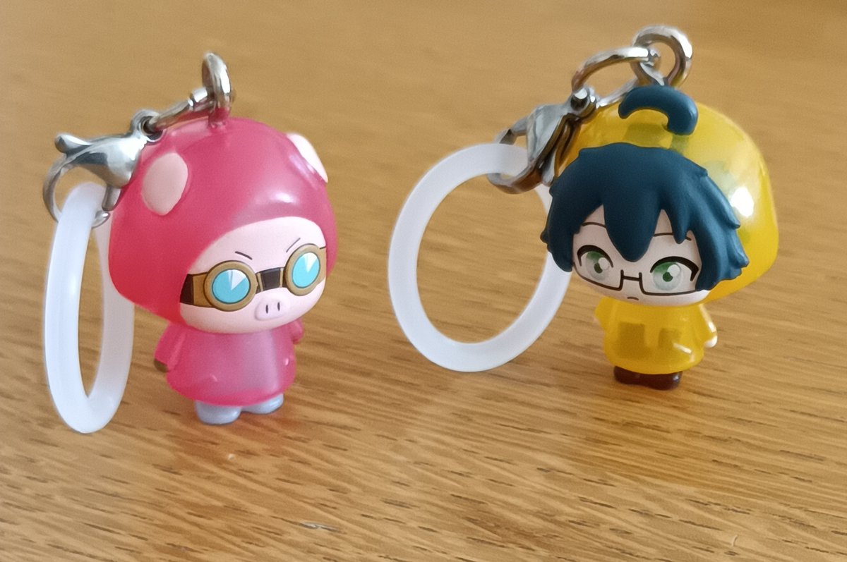 りんさく🌱 (@Rinsaku0901) / Posts / X